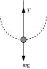 NCERT Solutions Class 11 Physics Chapter 4 - Laws of Motion